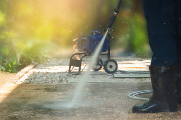 Best Animal Enclosure Cleaning  in Ponderosa Park, CO